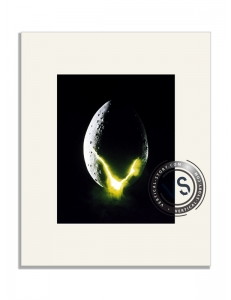 Extrait de l'affiche "Alien, le huitieme passager"