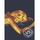GOLDFINGER Extrait (1)