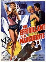 En effeuillant la marguerite
